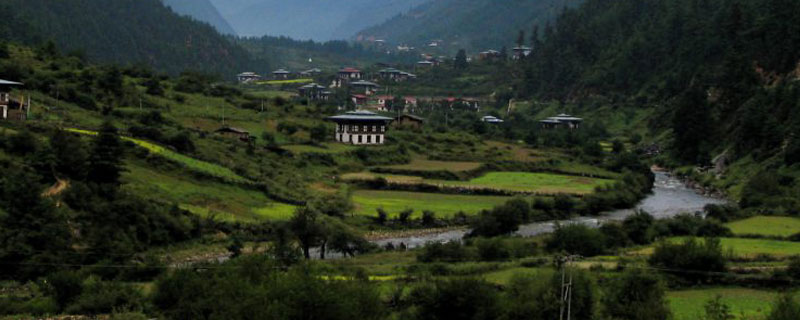 Nature-Bhutan
